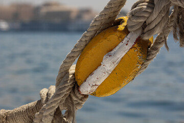 A knot 