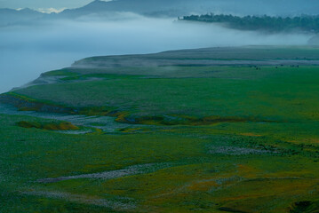 Misty Sunrise in Mountains green meadow 