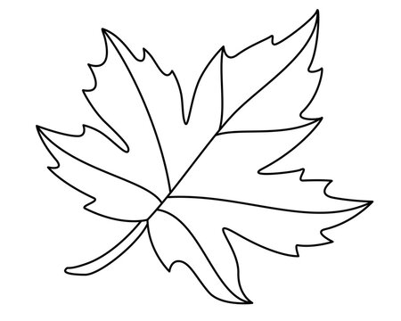 recommend clip art: Maple leaf plant element - vector linear picture for coloring. Outline. Maple leaf for sign, logo or coloring book