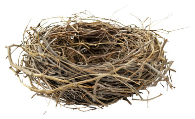 PNG Natural bird nest isolated white