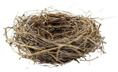 PNG Natural bird nest isolated white