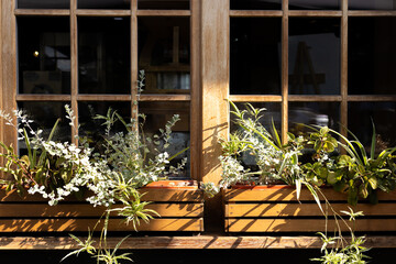 A sunny window with wooden pots filled with various plants in a urban setting during the afternoon