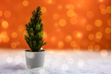 small artificial spruce Christmas tree in a white pot on an orange background with bokeh