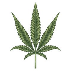 Detailed Green Cannabis Leaf Illustration