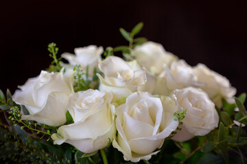 White roses with green leaves isolated on black background .