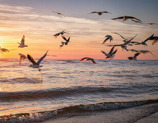 A flock of seagulls flying low over calm ocean waves at sunrise, with the horizon