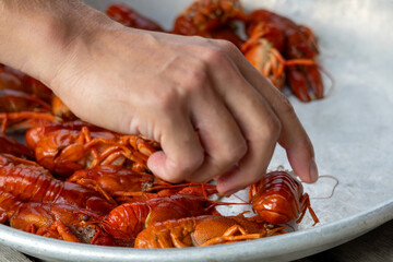 Hand Picking Crawfish from a Platter