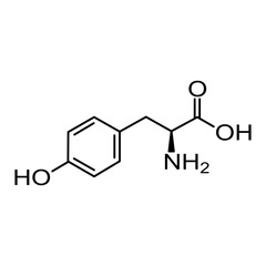 Chemical structural formula of amino acid, tyrosine
