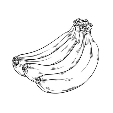 recommend clip art: line art drawing illustration of a banana