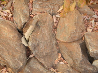 Photograph of a detail of the ground, with stones and dry leaves
