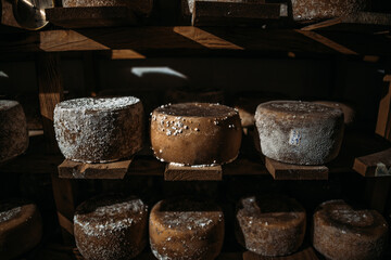 A chamber for maturation and aging of cheese circles in a private cheese factory. Abundance of...