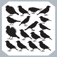 Set of Sparrow bird silhouette collection, Sparrow flying design, bird black silhouettes of different kinds sparrow vector flat isolated