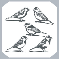 Set of Sparrow bird silhouette collection, Sparrow flying design, bird black silhouettes of different kinds sparrow vector flat isolated