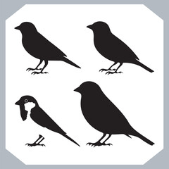 Set of Sparrow bird silhouette collection, Sparrow flying design, bird black silhouettes of different kinds sparrow vector flat isolated