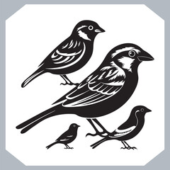 Set of Sparrow bird silhouette collection, Sparrow flying design, bird black silhouettes of different kinds sparrow vector flat isolated