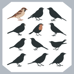 Set of Sparrow bird silhouette collection, Sparrow flying design, bird black silhouettes of different kinds sparrow vector flat isolated