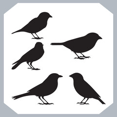 Set of Sparrow bird silhouette collection, Sparrow flying design, bird black silhouettes of different kinds sparrow vector flat isolated