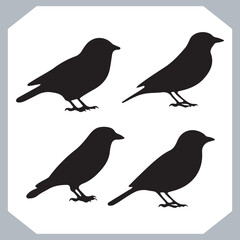 Set of Sparrow bird silhouette collection, Sparrow flying design, bird black silhouettes of different kinds sparrow vector flat isolated