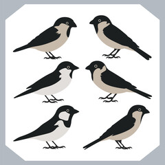 Set of Sparrow bird silhouette collection, Sparrow flying design, bird black silhouettes of different kinds sparrow vector flat isolated