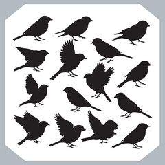 Set of Sparrow bird silhouette collection, Sparrow flying design, bird black silhouettes of different kinds sparrow vector flat isolated
