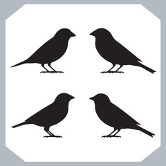 Set of Sparrow bird silhouette collection, Sparrow flying design, bird black silhouettes of different kinds sparrow vector flat isolated