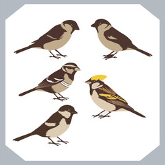 Set of Sparrow bird silhouette collection, Sparrow flying design, bird black silhouettes of different kinds sparrow vector flat isolated