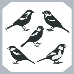 Set of Sparrow bird silhouette collection, Sparrow flying design, bird black silhouettes of different kinds sparrow vector flat isolated