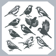 Set of Sparrow bird silhouette collection, Sparrow flying design, bird black silhouettes of different kinds sparrow vector flat isolated