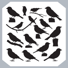 Set of Sparrow bird silhouette collection, Sparrow flying design, bird black silhouettes of different kinds sparrow vector flat isolated