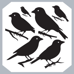 Set of Sparrow bird silhouette collection, Sparrow flying design, bird black silhouettes of different kinds sparrow vector flat isolated
