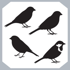 Set of Sparrow bird silhouette collection, Sparrow flying design, bird black silhouettes of different kinds sparrow vector flat isolated