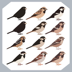 Set of Sparrow bird silhouette collection, Sparrow flying design, bird black silhouettes of different kinds sparrow vector flat isolated