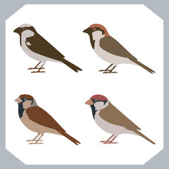 Set of Sparrow bird silhouette collection, Sparrow flying design, bird black silhouettes of different kinds sparrow vector flat isolated