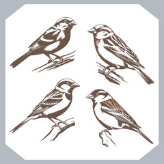 Set of Sparrow bird silhouette collection, Sparrow flying design, bird black silhouettes of different kinds sparrow vector flat isolated