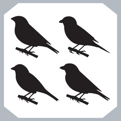 Set of Sparrow bird silhouette collection, Sparrow flying design, bird black silhouettes of different kinds sparrow vector flat isolated