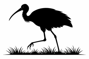 Walking ibis bird silhouette black vector art illustration 