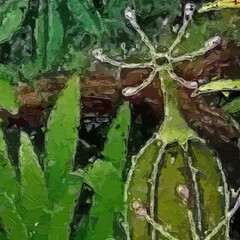 Oil paintings and various flowers, leaves, birds, lotus leaves, lotus flowers, parrots, forests, streams, beautiful scenery