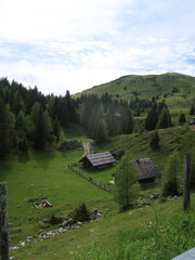 green countryside in the austrian alps with houses and trees