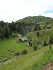 green countryside in the austrian alps with houses and trees