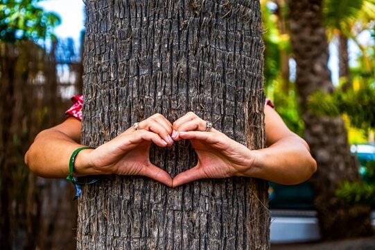 mujer dibujando un cerraz&oacute;n con las manos escondida detr&aacute;s de un &aacute;rbol