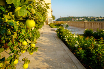 Fototapete bei efototapeten.de bestellen   