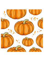Seamless pattern with ripe pumpkin isolated on white