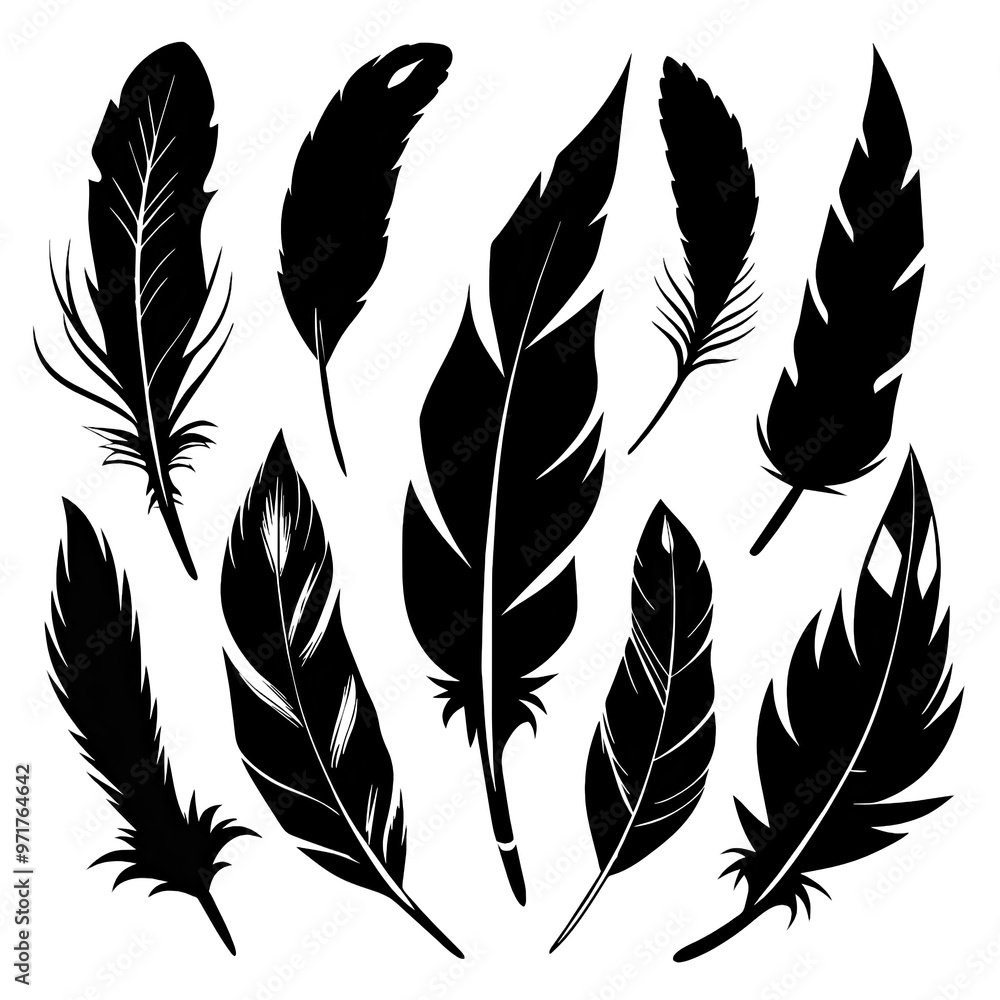 Poster a diverse assortment of black silhouette feathers displayed in various scales showcasing unique shap