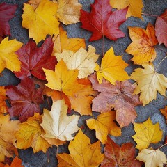 Fototapeta premium Vibrant autumn leaves scattered across a natural background