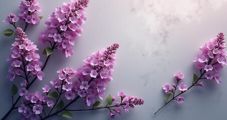 lilac flowers on a branch
