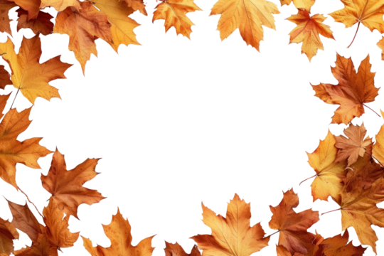 PNG Frame Of Autumn Leaves backgrounds leaves autumn.