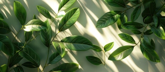Fototapeta premium The image showcases a vibrant lush and serene background of green leaves and foliage The natural organic