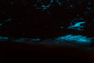 Beautiful blue phosphorescent sea close up