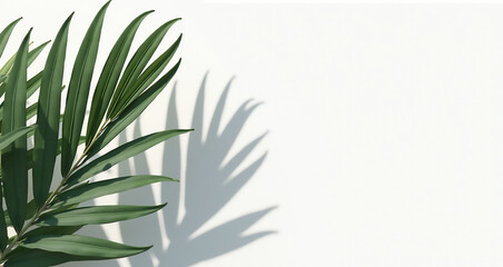 bamboo leaves background