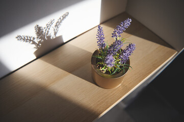 Decorative lavender plant casting a detailed shadow on a sunlit wooden shelf creates a tranquil and natural atmosphere